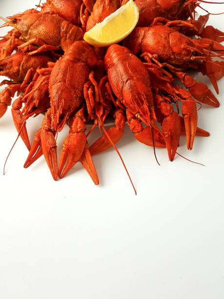 istock Delicious red boiled crayfish on a white background, close-up 1457998542