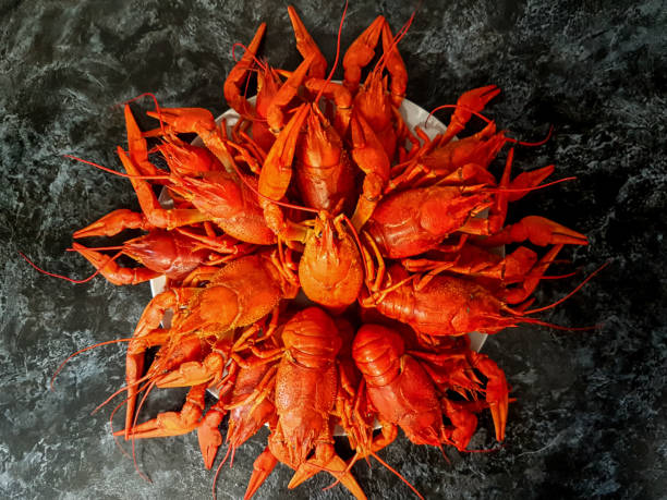 A large portion of boiled crayfish on a plate. A large portion of boiled crayfish on a plate. High quality photo crayfish animal stock pictures, royalty-free photos & images