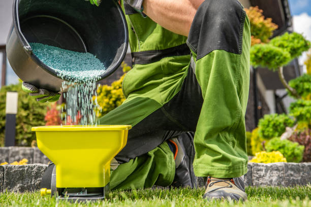 Gardener Filling His Handheld Spreader with Granular Lawn Fertilizer stock photo