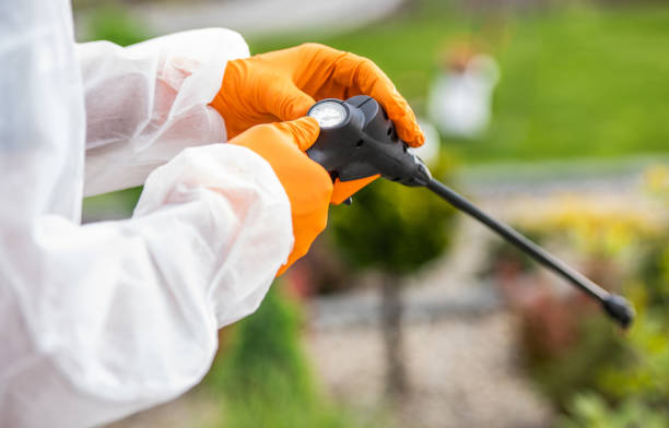 istock Pesticide Sprayer Calibration Performed by Professional Gardener 1458002565