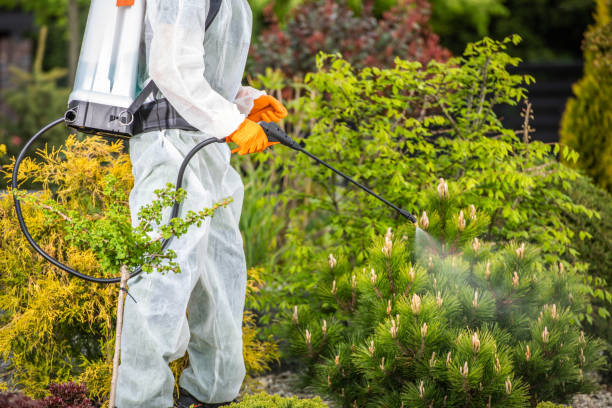istock Gardener Performing Pesticide Application 1458002573