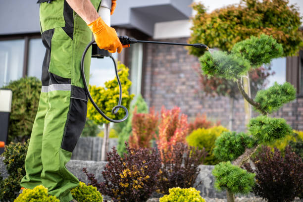istock Pesticide Spraying Closeup 1458002579