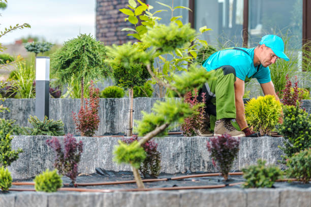 istock Professional Landscaper Maintaining Plants in Flowerbed 1458002800