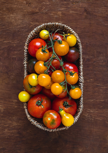 Freshly picked red tomatoes, yellow cherry tomatoes, pear tomatoes in a wicker basket on a wooden background. Healthy eating. Top view.