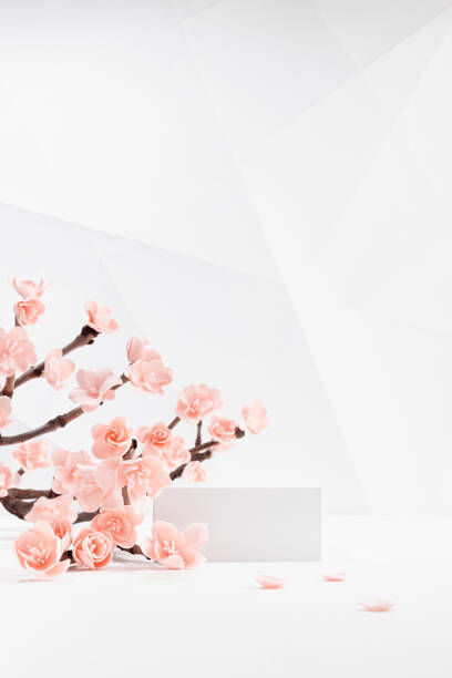 istock Fresh lush pink sakura flowers in sunlight on branch, rectangle white podium mockup in white interior in geometric minimal style for presentation cosmetic products, goods, branding, design, vertical. 1458003210
