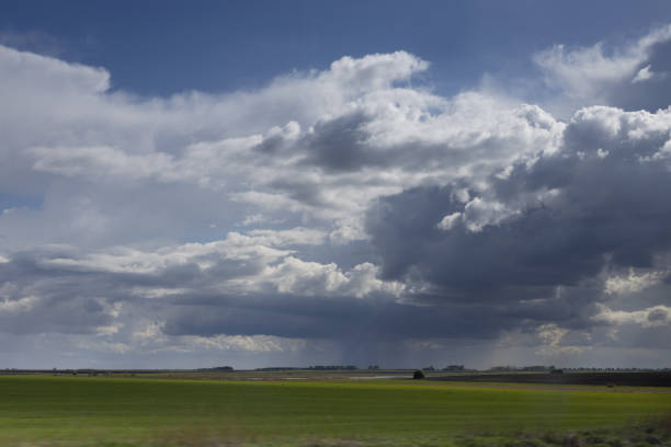 Bright epic thunderstorm landscape in early spring with dark blue fluffy clouds in sunlights above green juicy pasture in motion. Sunny day with rain weather in countryside.