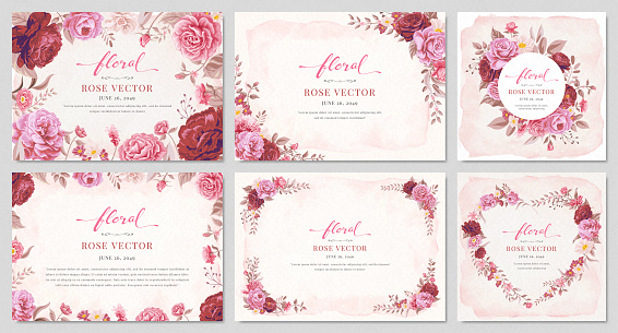 Collection set Beautiful Rose Flower and botanical leaf digital painted illustration for love wedding valentines day or arrangement invitation design greeting card.