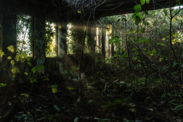istock Overgrown by plants old abandoned building interior 1458005253