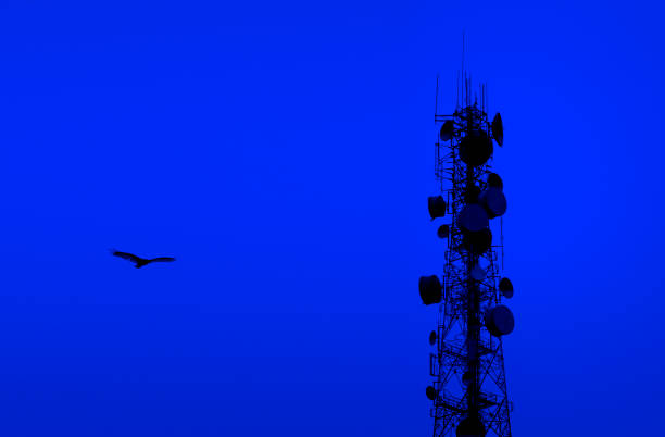 푸른 밤하늘에 통신 타워와 날아 다니는 독수리 - eagle tower 뉴스 사진 이미지