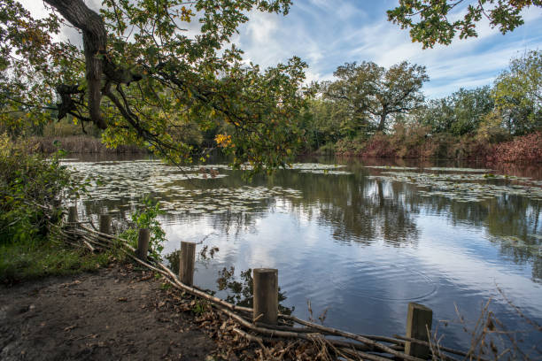 istock Sheepwash Pond in autumn 1458007445