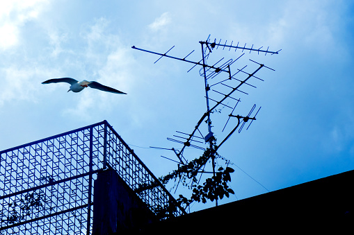 Close up Classic old TV antenna on house roof over cloudy sky