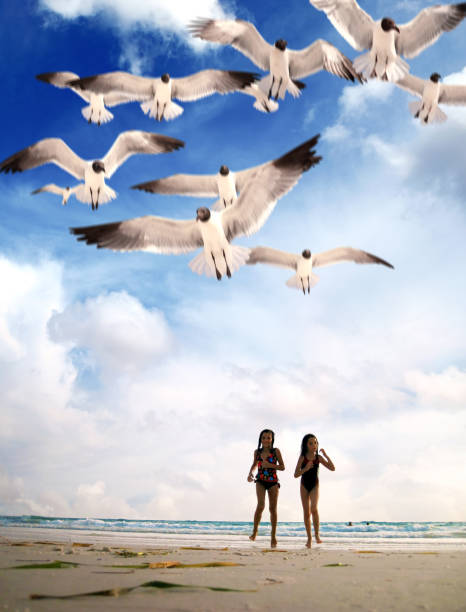 istock Two little girls playing on sandy tropical beach 1458010720