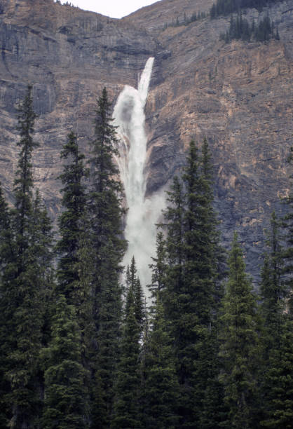 Yoho National Park - Takakkaw Falls & Forest - 1989