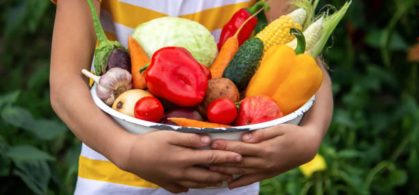 istock Child and father are holding fresh vegetables in their hands. Selective focus. 1458013086