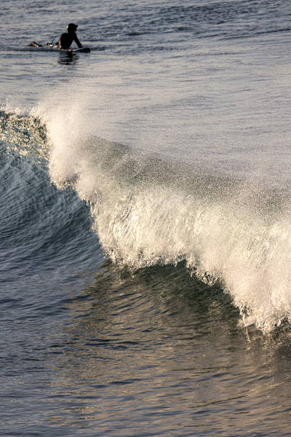 istock Waves roll in at Pismo Beach. 1458013163