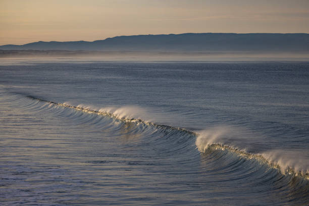 Pismo beach is a popular destination for surfing.