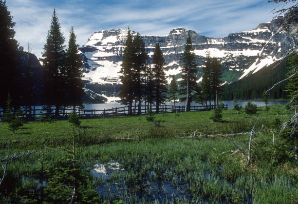 istock Waterton Lakes NP - Cameron Lake & Trees - 1989 1458013326