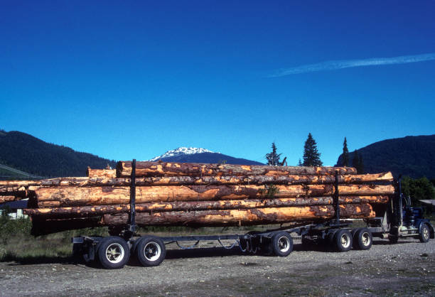 Mount Revelstoke NP - Logging Truck - 1989