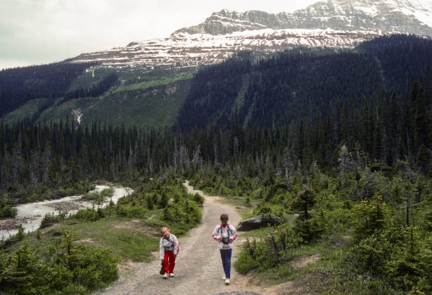 istock Yoho National Park - Takakkaw Falls - Trail by River - 1989 1458014356