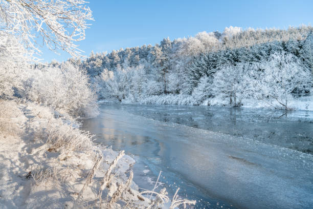istock Reflections of snow covered trees in the River Teviot, Scottish Borders, United Kingdom 1458017981