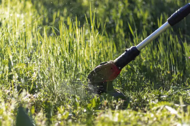 Cutting green grass with electric scythe on lawn close up in motion.