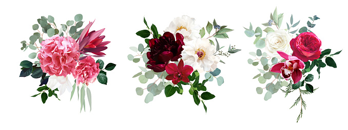 Trendy magenta bouquets vector design bouquets. Hot pink roses, fashion doll pink ranunculus, white peony, dark orchid, hydrangea, ivory magnolia, carnation. All elements are isolated and editable on white.