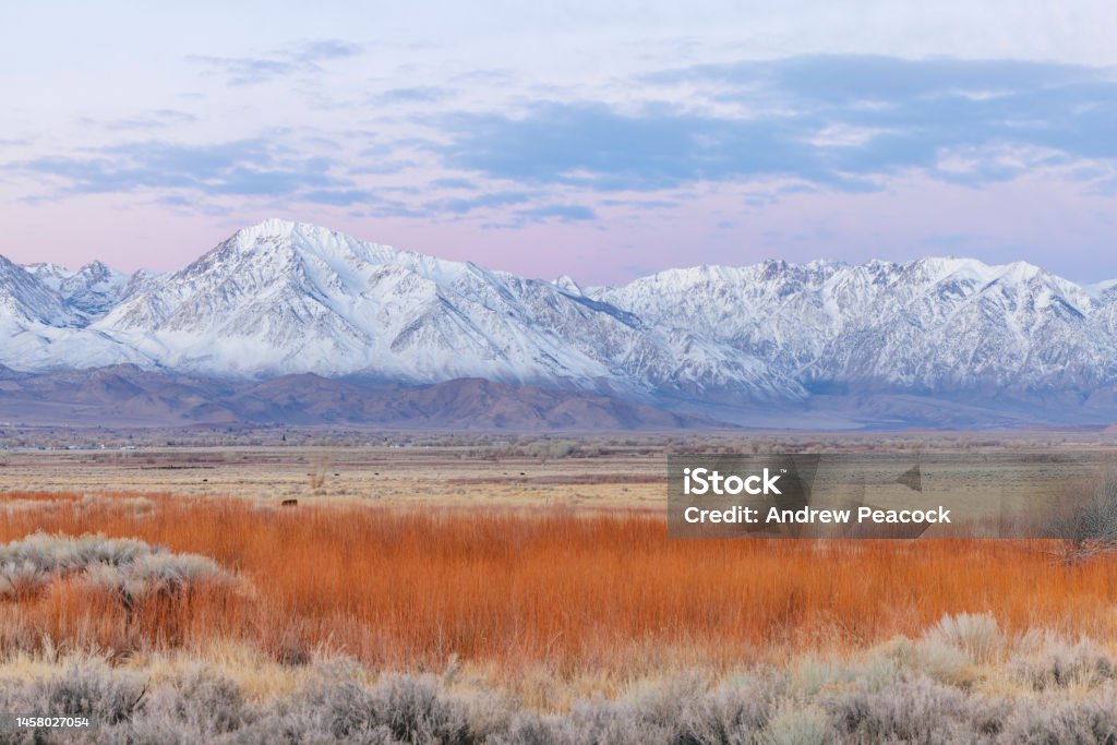 Dawn light over the eastern sierra mountain range. The Sierra Nevada mountains provide a beautiful backdrop to the Owens River valley near the town of Bishop. Beauty In Nature Stock Photo
