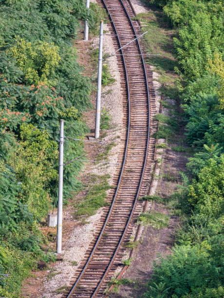 vue d’en haut avec des voies ferrées entourées de forêt près de veliko tarnovo, bulgarie - 7096 photos et images de collection