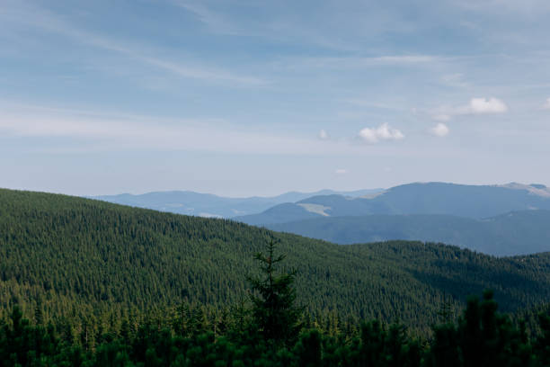 istock Mountain landscape in Ukrainian Carpathians in summer 1458030664