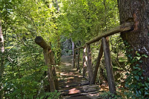 istock Bridge crossing the Skra Waterfall in Greece 1458032422