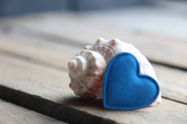 Shell in format