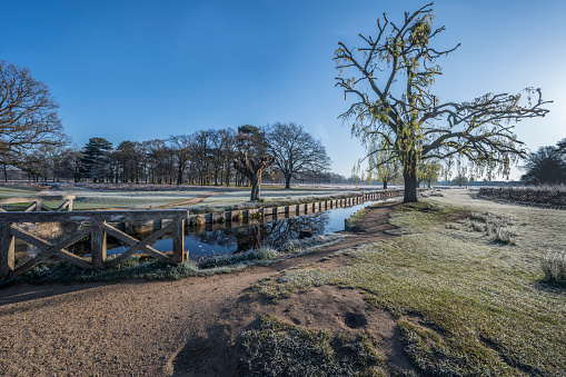 Small bridge and stream at Bushy Park Surrey in early April first thing in the morning