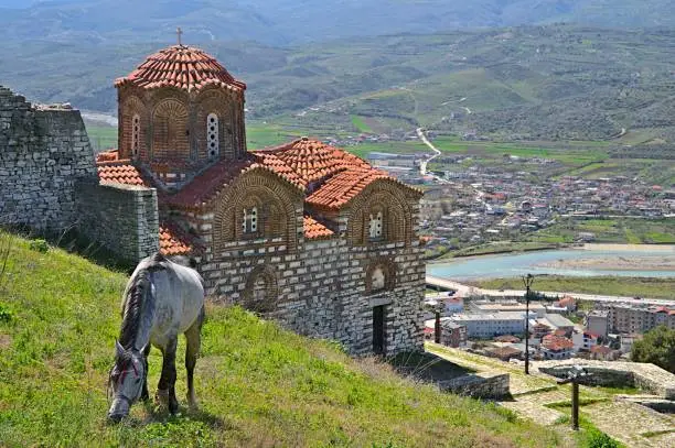 Holy Trinity Church in Berat with a gazing donkey and view on the city