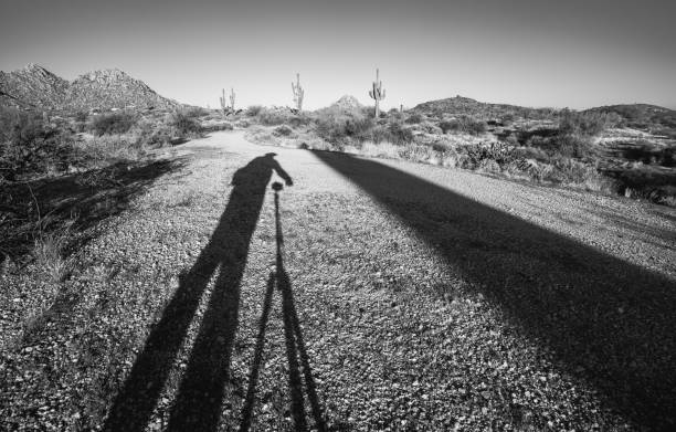 sombra do fotógrafo projetada na trilha do deserto com tripé e câmera e cacto saguaro - hiking sonoran desert arizona desert - fotografias e filmes do acervo
