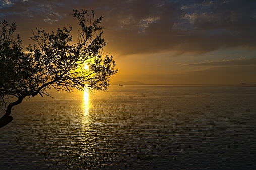 View from the coast of Vlora on the island of Sazan at sunset through an olive tree
