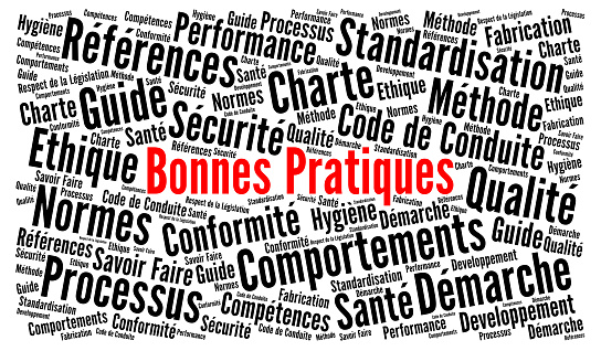 Best practice word cloud called bonnes pratiques in French language