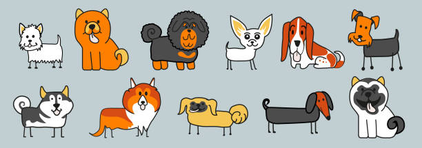 wzór wielu różnych psówmalamute, foksterier, mastif, shar pei, chihuahua, szpic: laika, husky, collie, owczarek szkocki, jamnik, pekiński - dog malamute sled dog bulldog stock illustrations