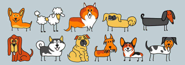 wzór wielu różnych psówmalamute, foksterier, mastif, shar pei, chihuahua, szpic: laika, husky, collie, owczarek szkocki, jamnik, pekiński - dog malamute sled dog bulldog stock illustrations