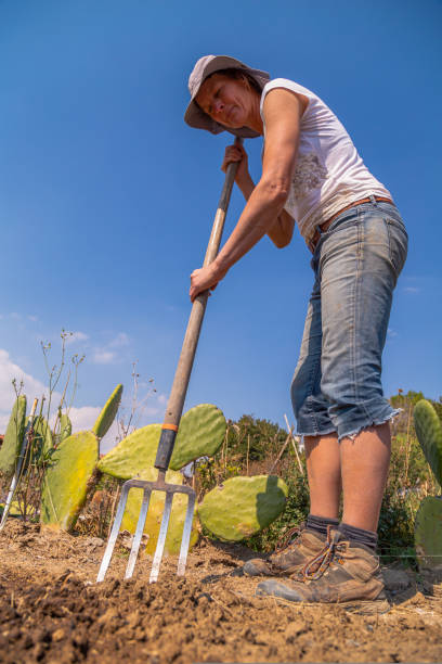 istock Woman is digging the soil on flower bed 1458044251