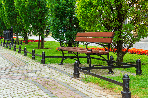 Park in Poznan city, Poland. View of the alley and benches.