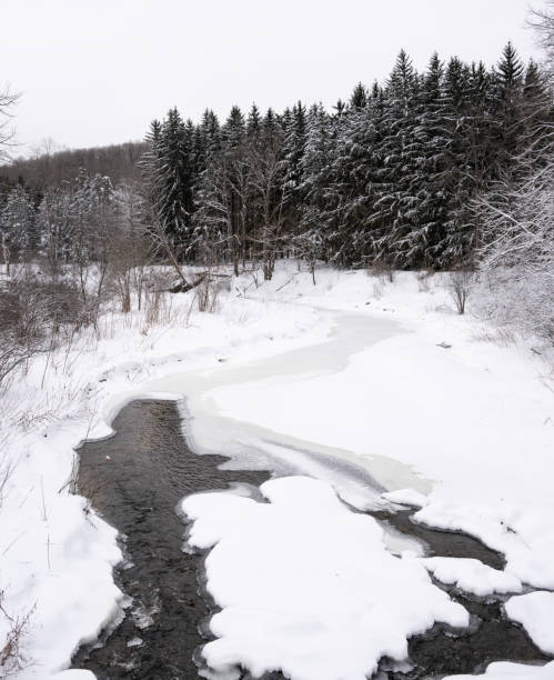 istock Snow covered river with trees in the background 1458046495