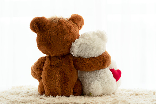 Valentine's day concept. Two teddy bears, brown and white with a red heart, are sitting with their backs, hugging cutely and looking out the window. Close-up.