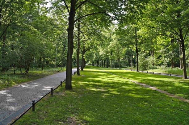 Berlin Tiergarten area with pathways for cyclists and pedestrians