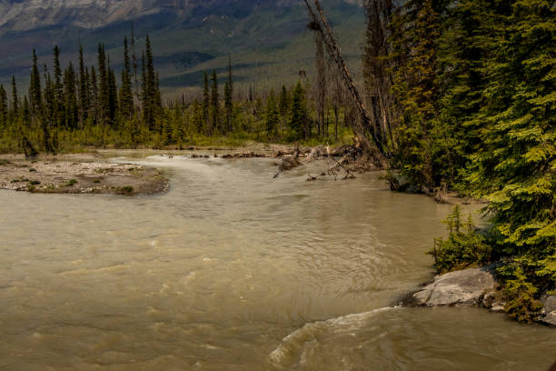 Simpson river flows gently uo and down stream Kootenay National Park British Columbia Canada