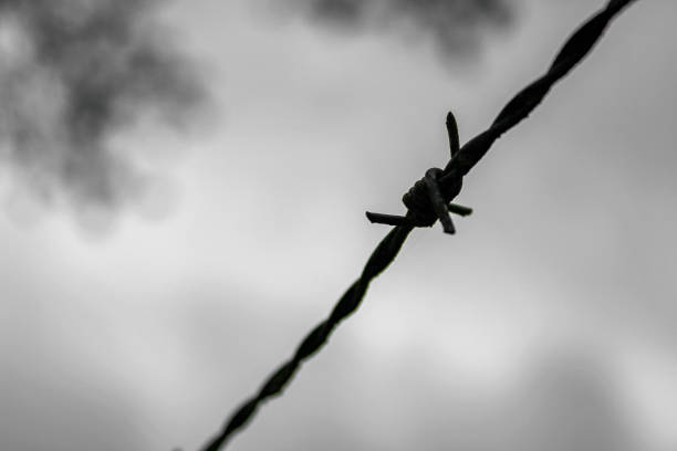 istock Barbed wire on gloomy background in Germany. 1458051802
