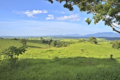 Australian Farmland during summer in Queensland and hills in the background. The grass is fresh green and the view very far