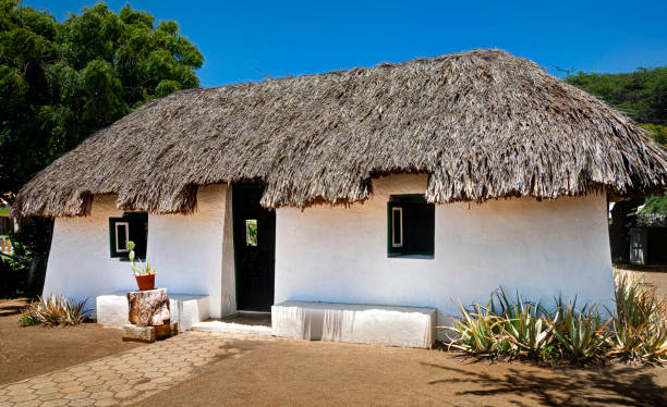 Kunuku House was originally built as home for the slaves on the plantation, Curacao, Netherlands Antilles Weg Naar Westpunt, Willemstad, Curacao, Netherlands Antilles - September 15, 2022:     Kunuku House was originally built as home for the slaves on the plantation. thatched roof hut straw grass hut stock pictures, royalty-free photos & images