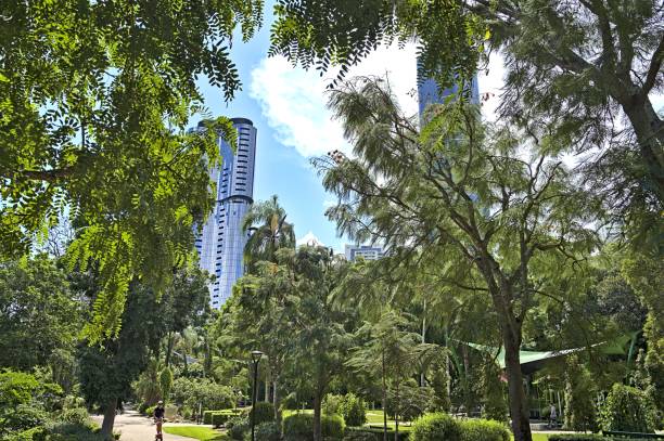 Skyscraper seen through park vegetation of the Botanical Garden in Brisbane with some people enjoying their free time