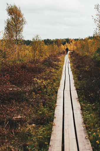 Walkway in Store Mosse National Park, Sweden. Forest and prairie trail. Nobody, adventure and long journey into the unknown. Autumn greenery and colors.