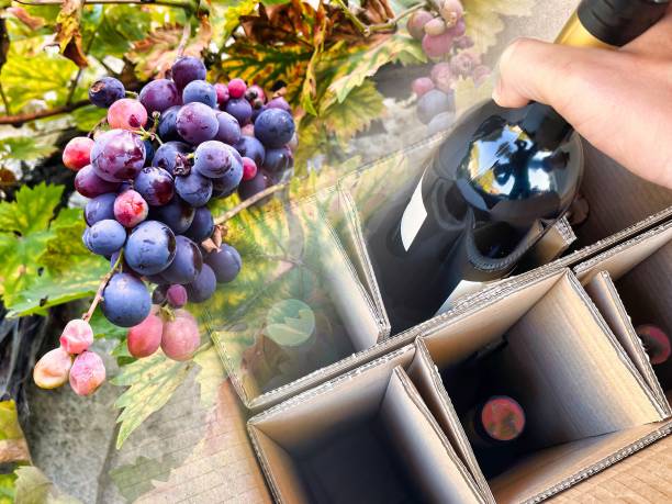 delivery of bottles of wine in box a person is taking a bottle of wine ordered on the internet out of a delivery box wine shipping stock pictures, royalty-free photos & images
